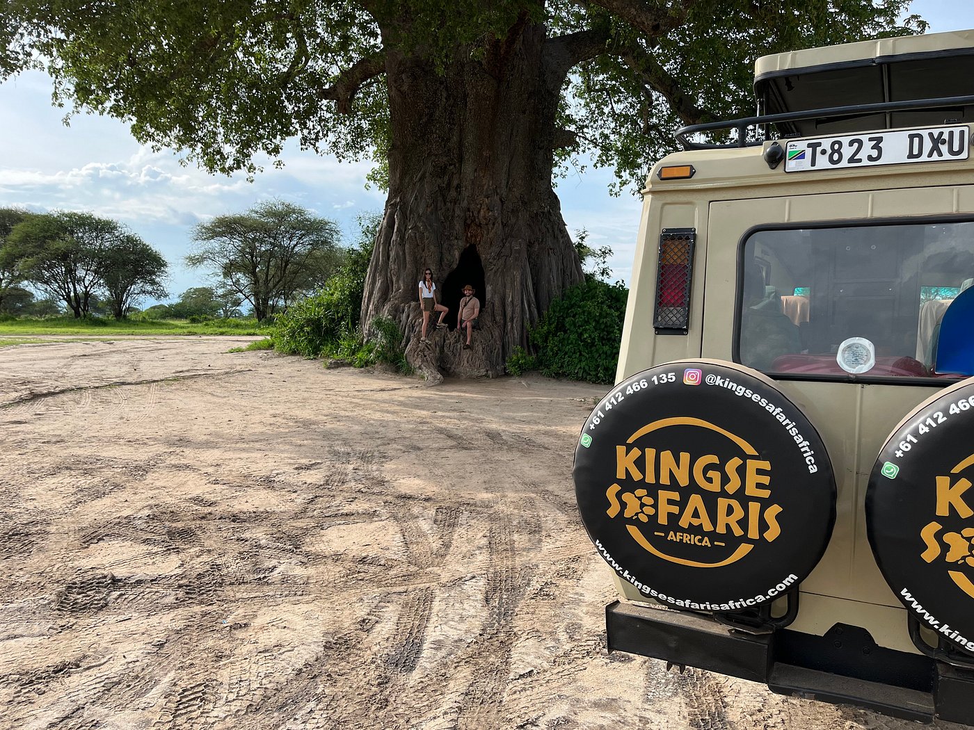 Kingse Safaris Africa is a premier East Africa safari company specializing in tailor-made wildlife adventures across Tanzania, Kenya, Uganda, and Rwanda.